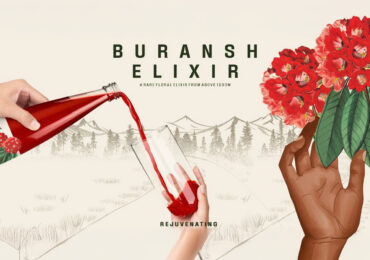 Buransh Squash – The Elixir of the Himalayas in Every Sip