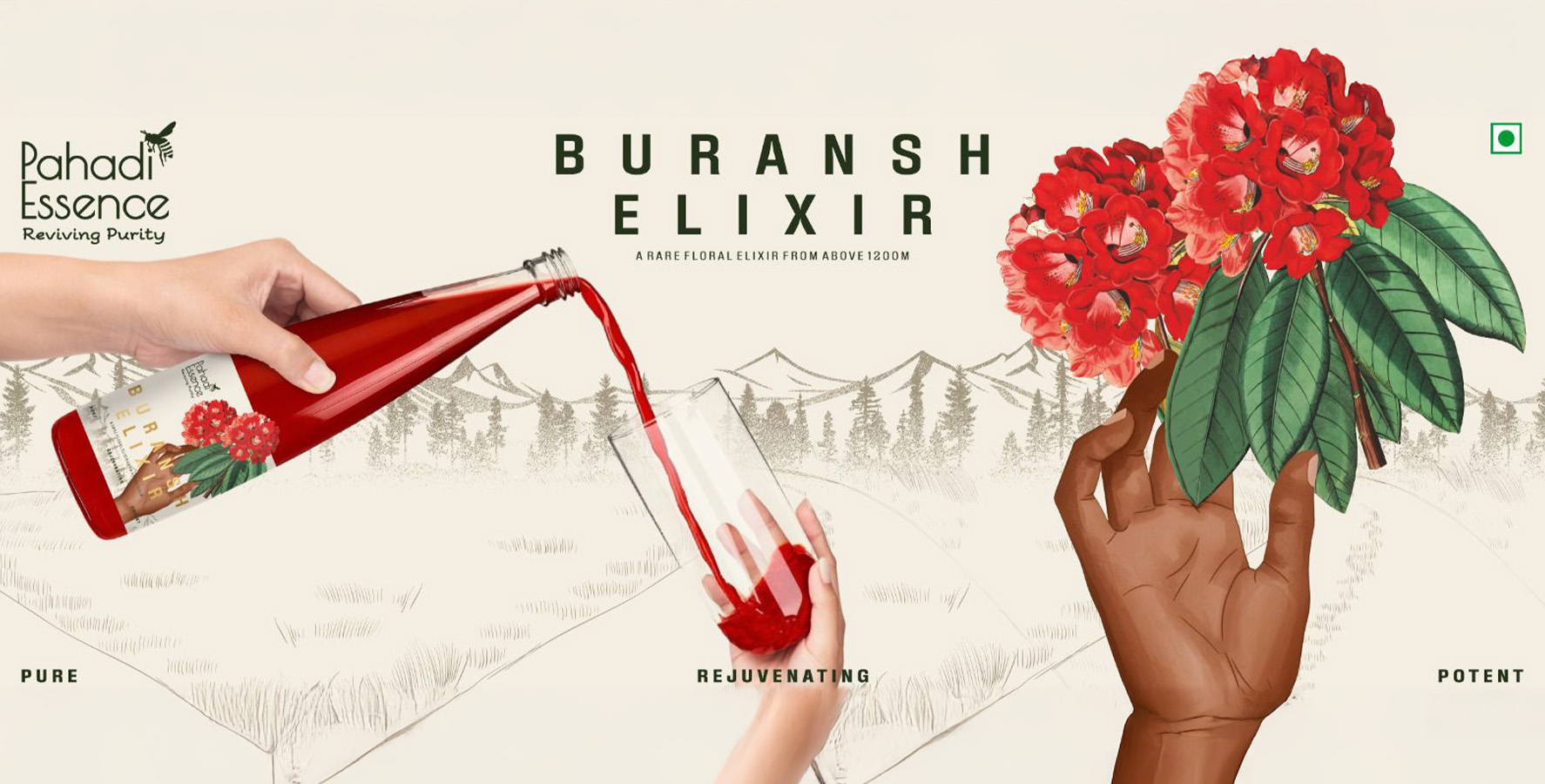 Buransh Squash – The Elixir of the Himalayas in Every Sip