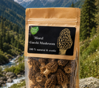 Gucci mushroom 50g