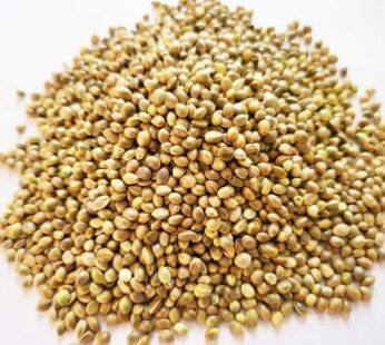 Bhang seeds 250gm