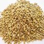 Bhang seeds 250gm