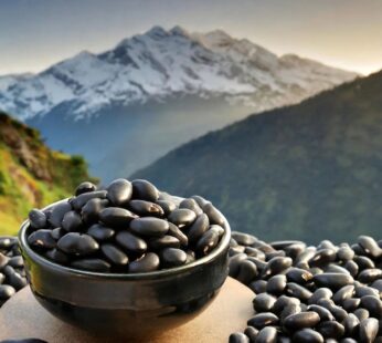Pahadi Purple Rajma | Barot Valley | Himalayan Kidney Beans 450gm