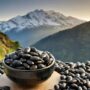 Pahadi Purple Rajma | Barot Valley | Himalayan Kidney Beans 450gm